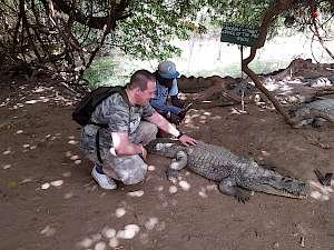 Henry | Gambia - Krokotiilipuisto (Katchikally Crocodile Pool)